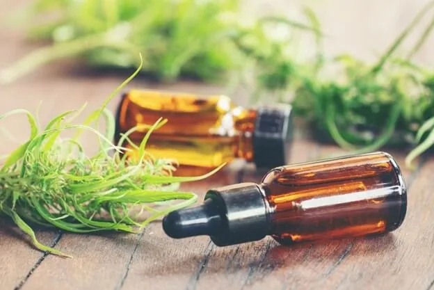 Two bottles of CBD oil surrounded by marijuana leaves on a wooden surface